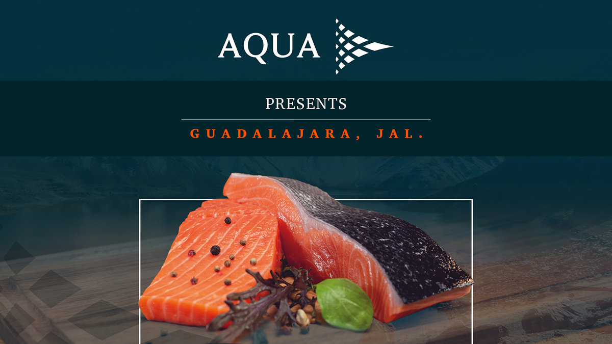 Aqua Presents
